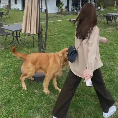 圣安娜奇迹海报