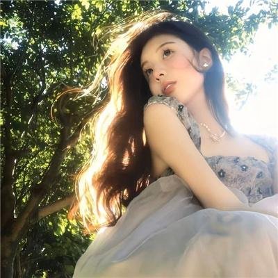 布拉多海报