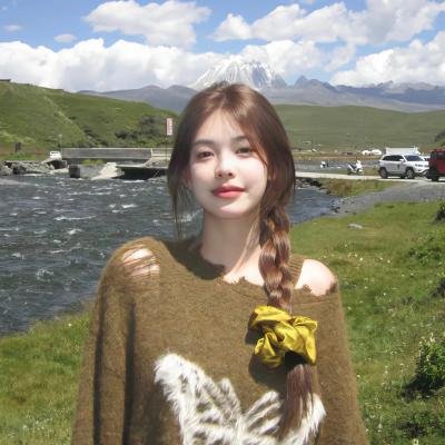 勒芒24小时2：分秒必争海报